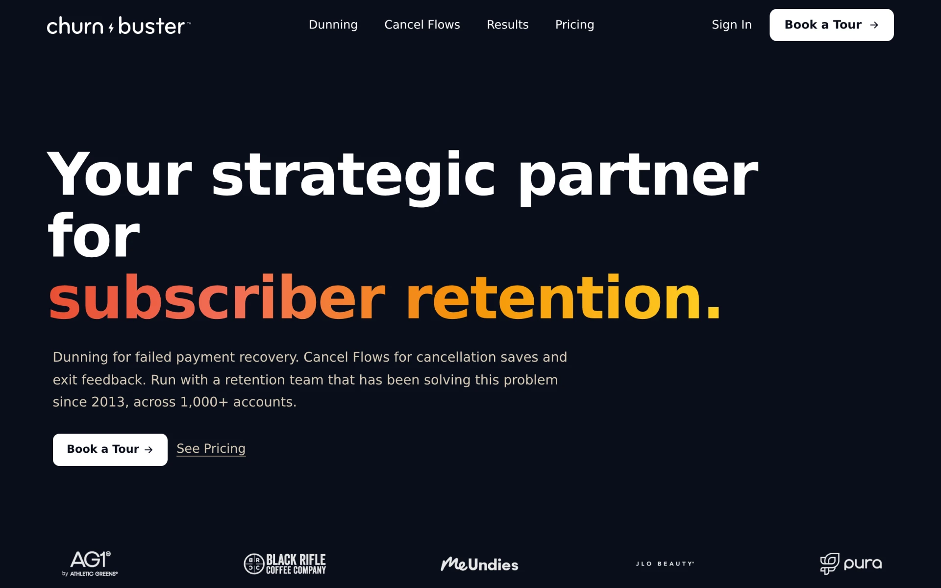 Churn Buster screenshot