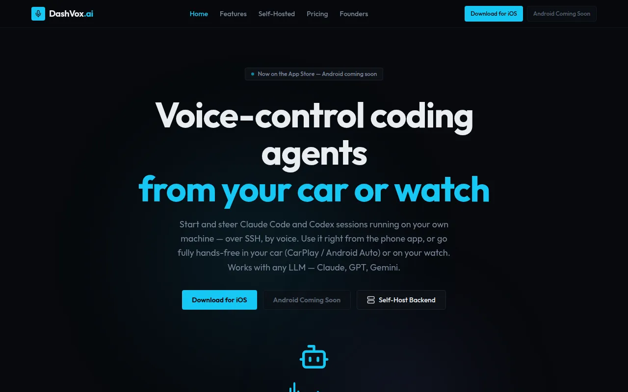 DashVox screenshot
