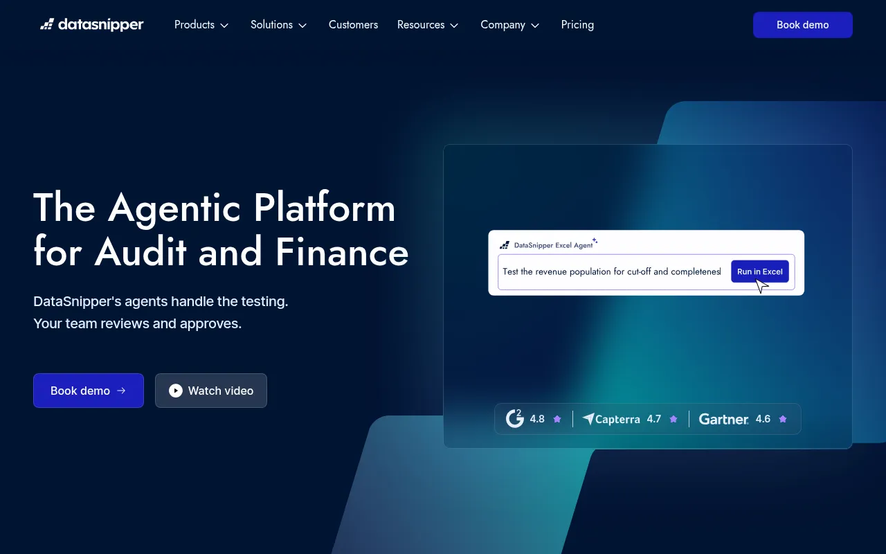 DataSnipper screenshot