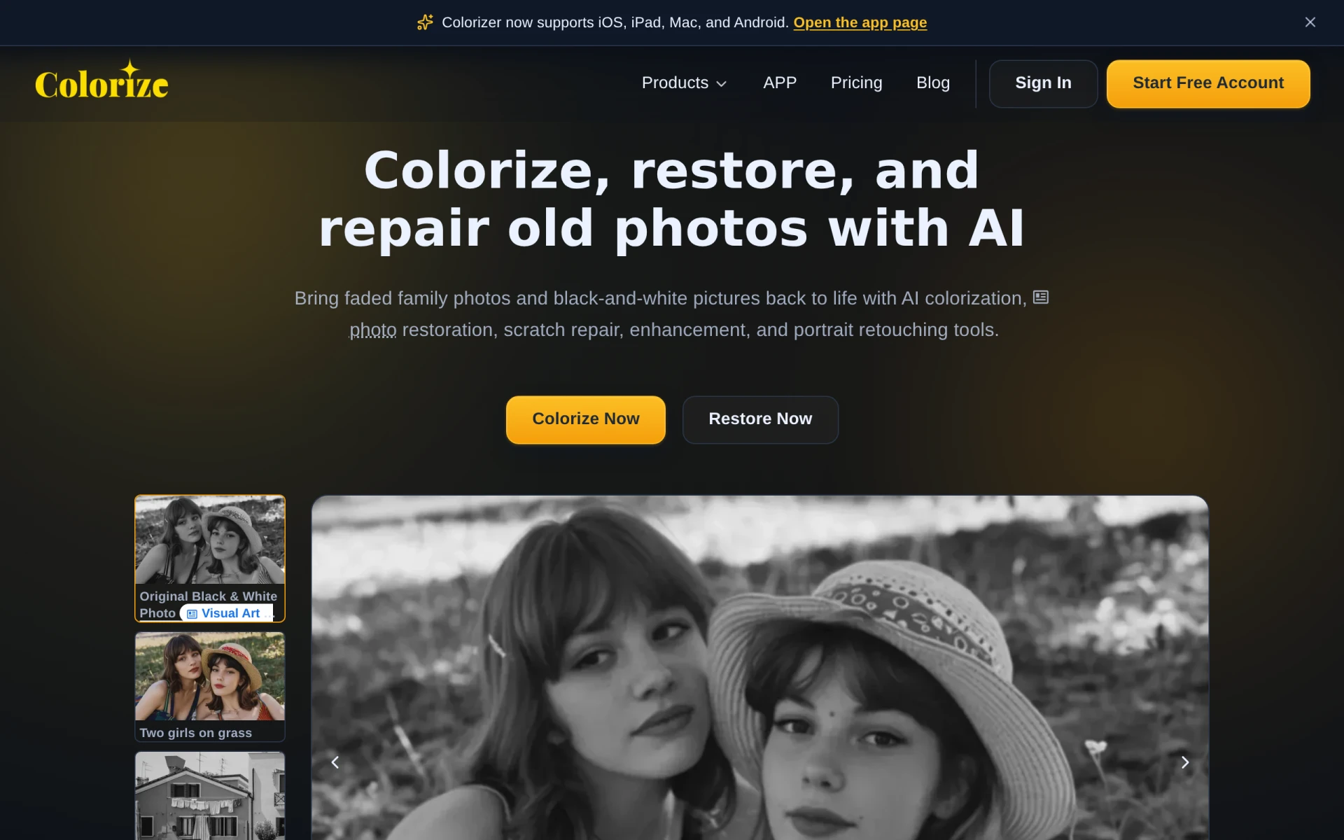 Imagecolorizer feature image