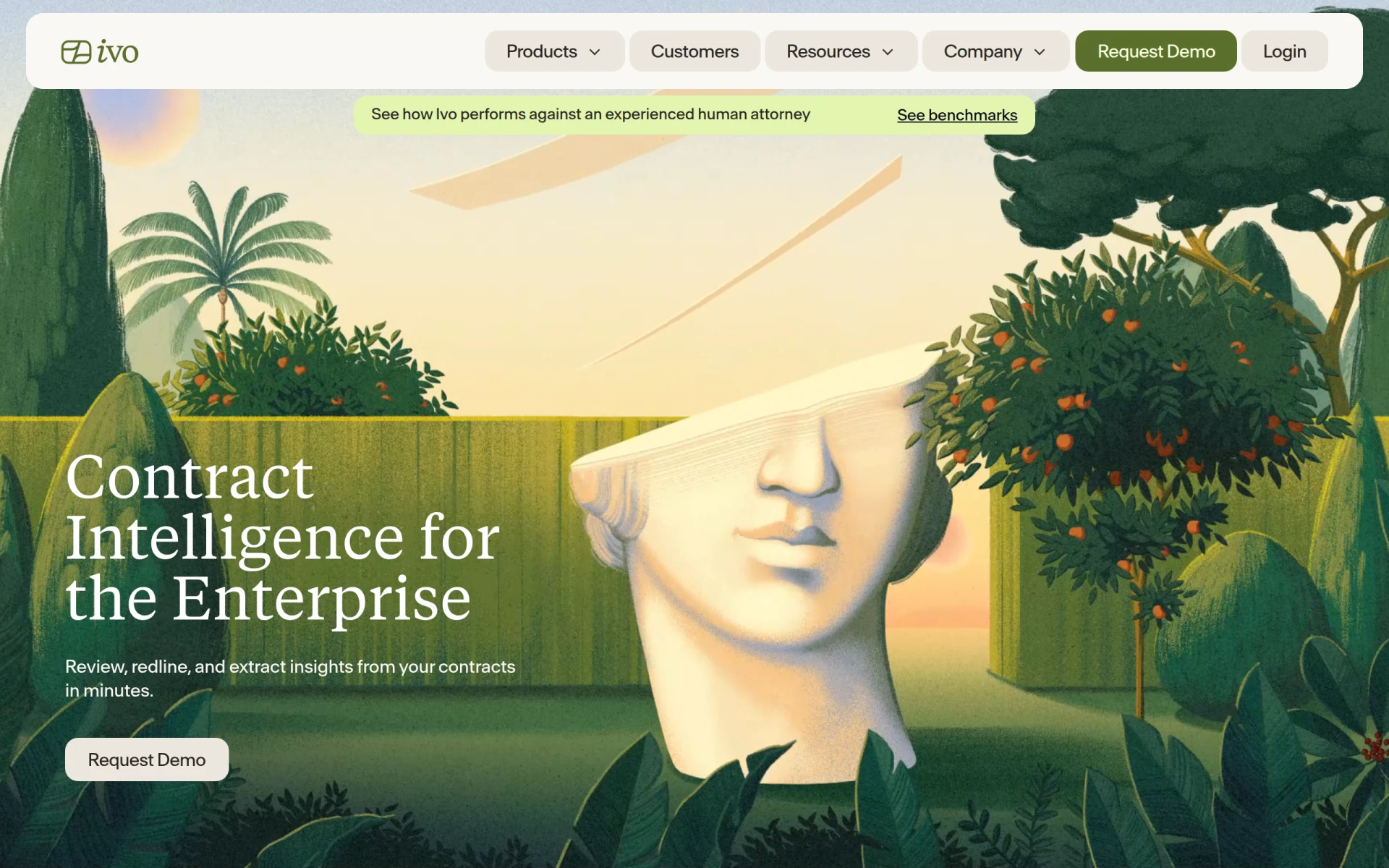 Ivo feature image