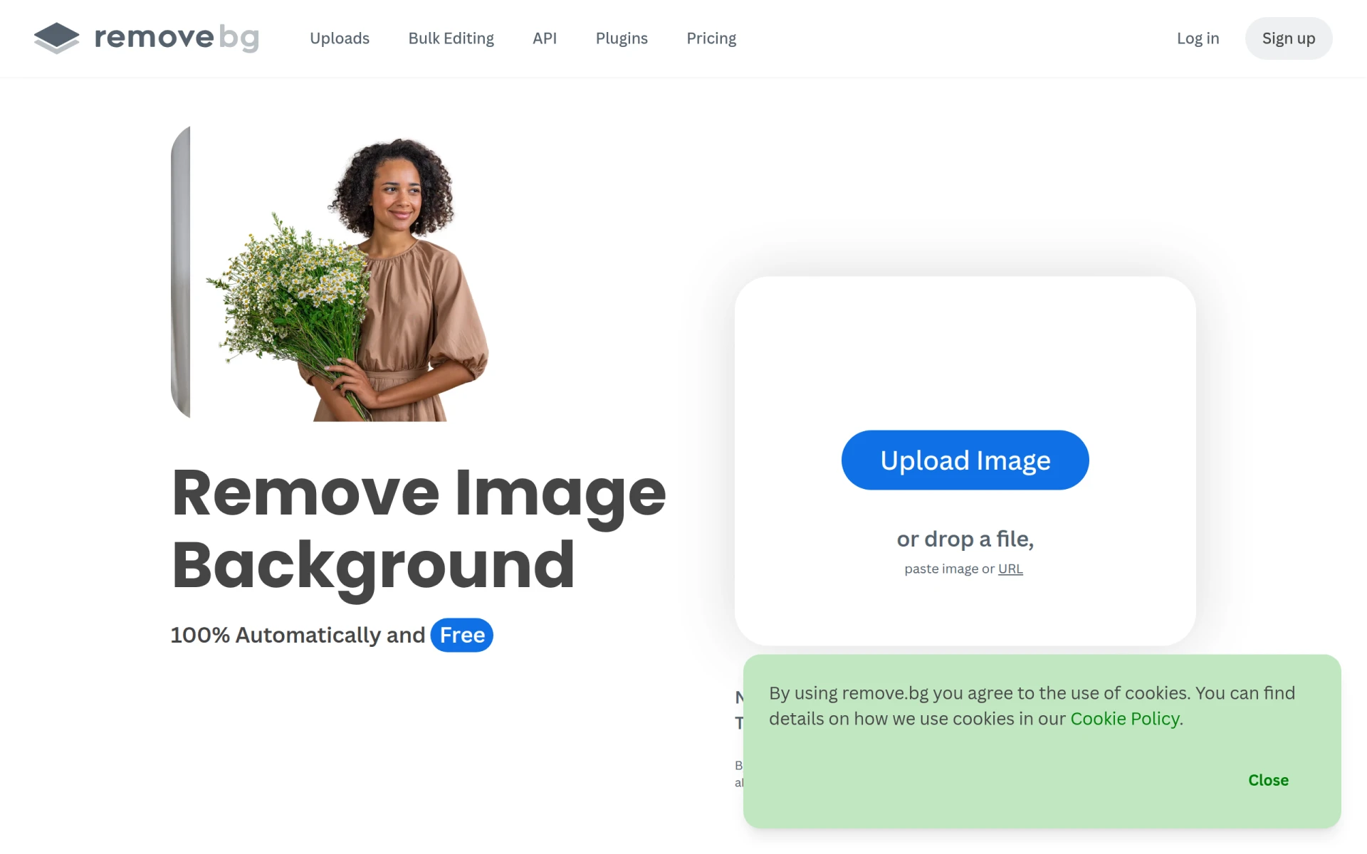 Remove-BG.AI screenshot