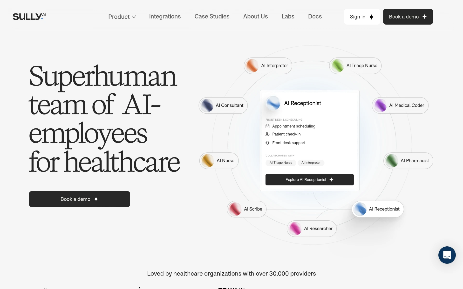 Sully AI feature image