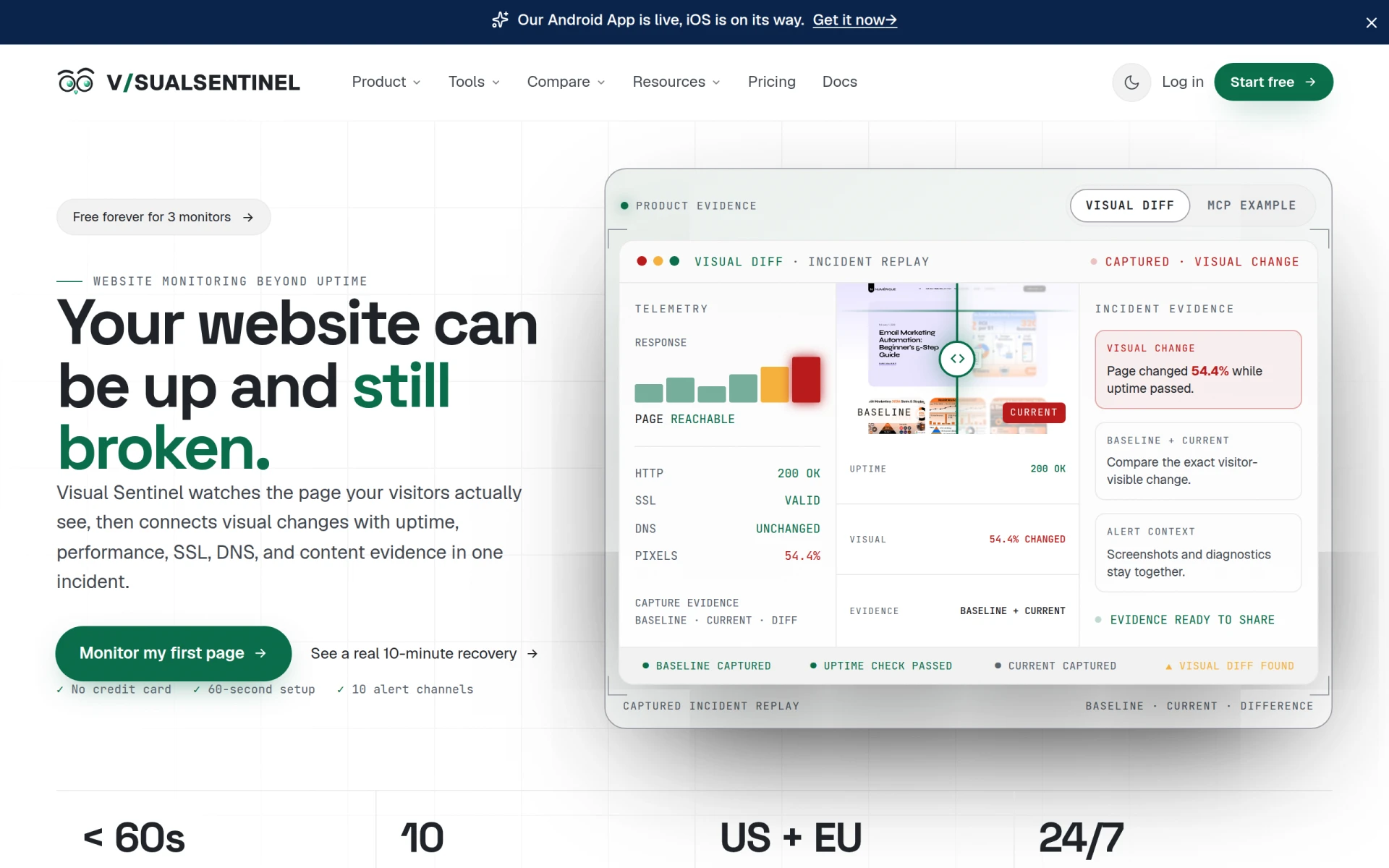 Visual Sentinel screenshot