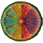 AISA icon
